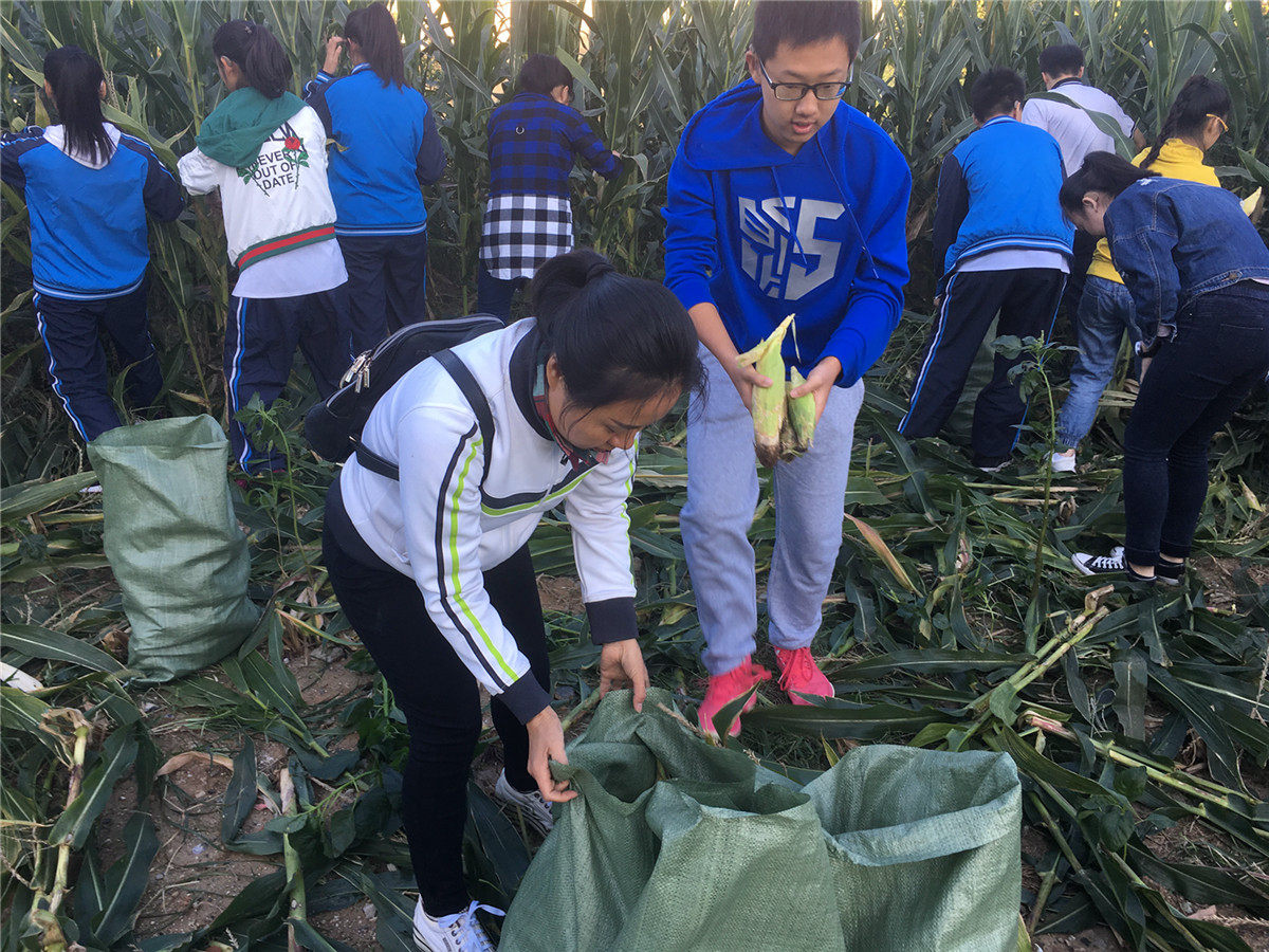 又是一年采摘季