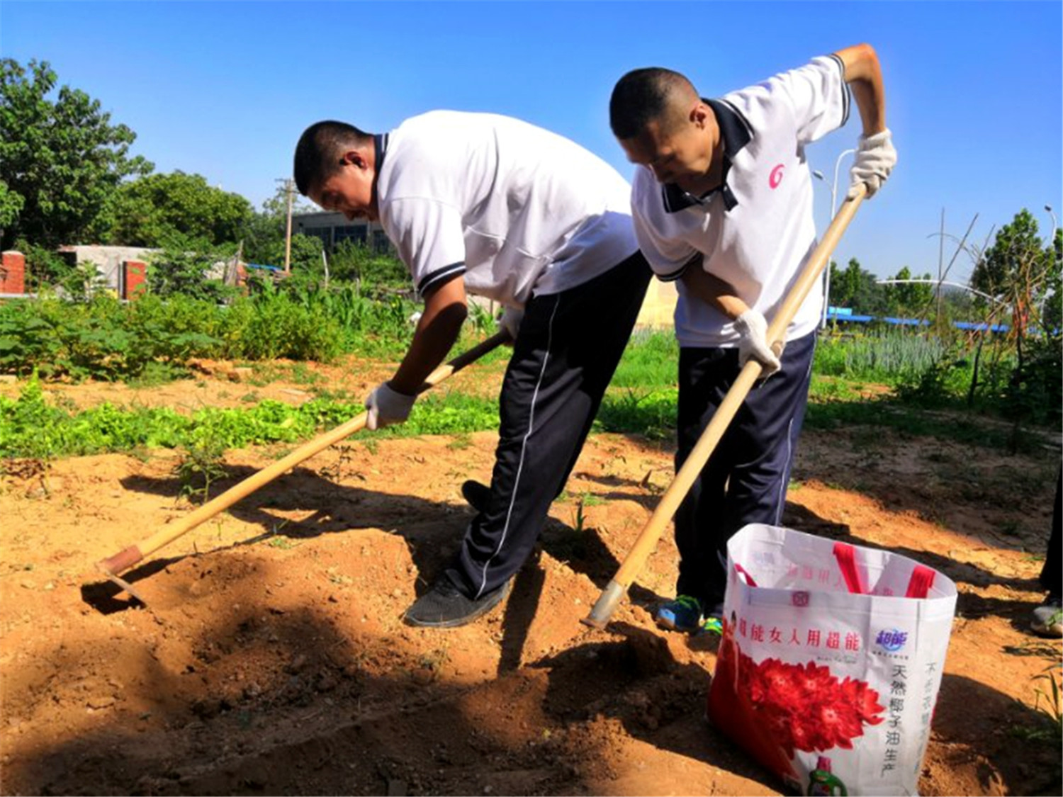 市特教中心舉行“展學(xué)藝、慶黨建”活動(dòng)