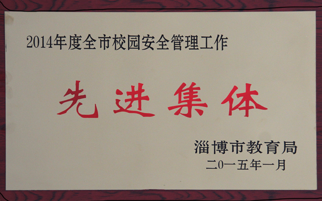 2015學(xué)校集體榮譽(yù)